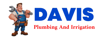 Trusted plumber in SCRIBNER